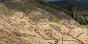 Suelos de Quindío