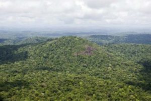 Tierras amazonía