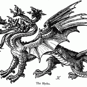 Hidra